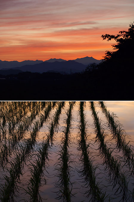 気持ちの良い一日