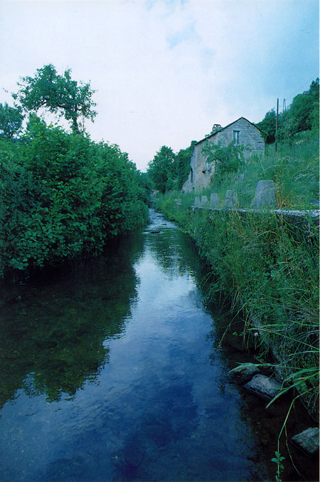 ミュズ川(ファーブル紀行2）