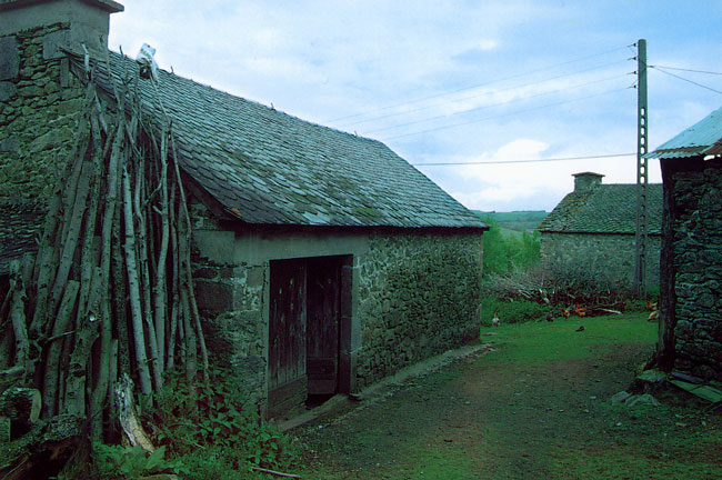 マラヴァル(ファーブル紀行5）