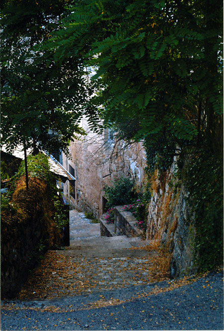 サンレオン村に戻ったファーブル(ファーブル紀行6）