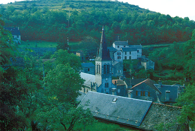 ノビタキの丘1(ファーブル紀行7）