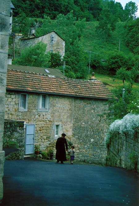 ノビタキの丘2(ファーブル紀行8）