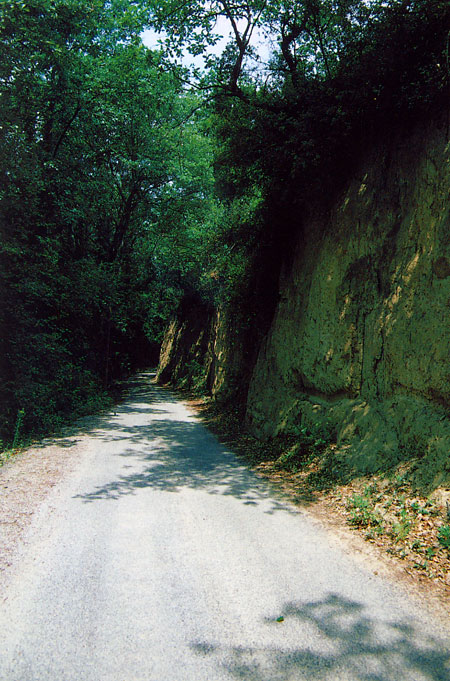 カルパントラスの切り通し(ファーブル紀行9）