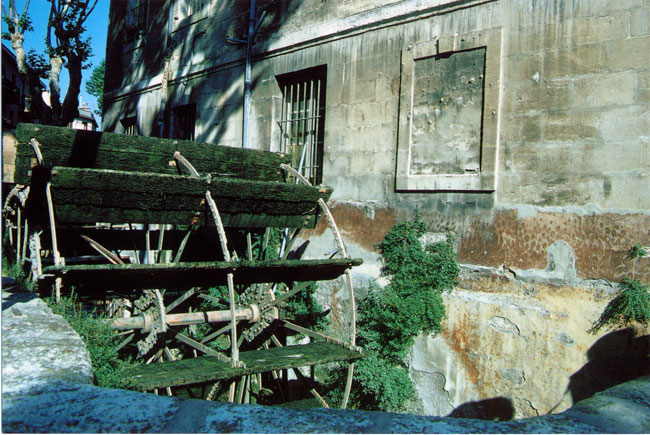 アビニョン(ファーブル紀行10）