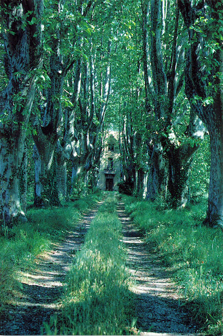 オランジュ(ファーブル紀行11）