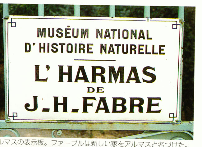 ファーブル博物館(ファーブル紀行13）