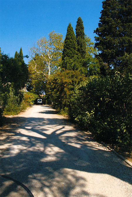 ファーブル博物館エントランス(ファーブル紀行14）