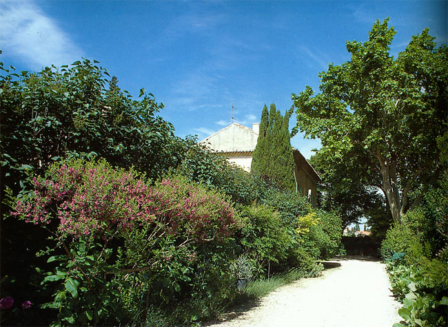 初夏のアルマス(ファーブル紀行16）