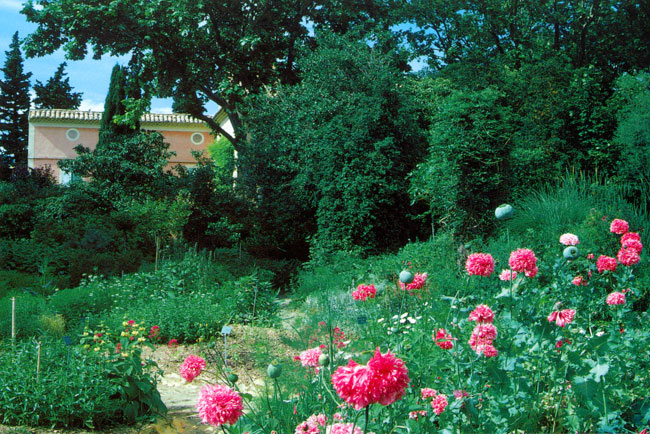 アルマスの庭(ファーブル紀行17）