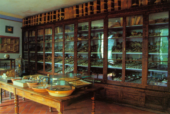 研究室(ファーブル紀行20）