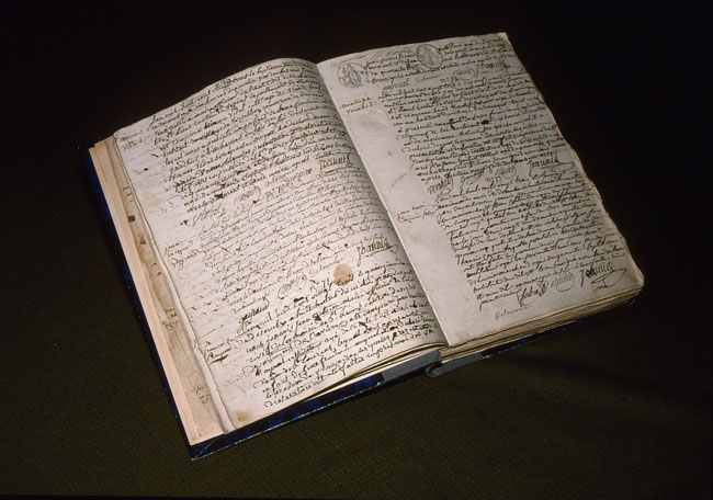 ファーブルのフイールドノート(ファーブル紀行23）