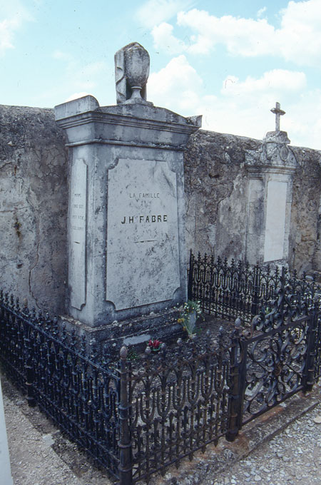 ファーブルの墓(ファーブル紀行29）