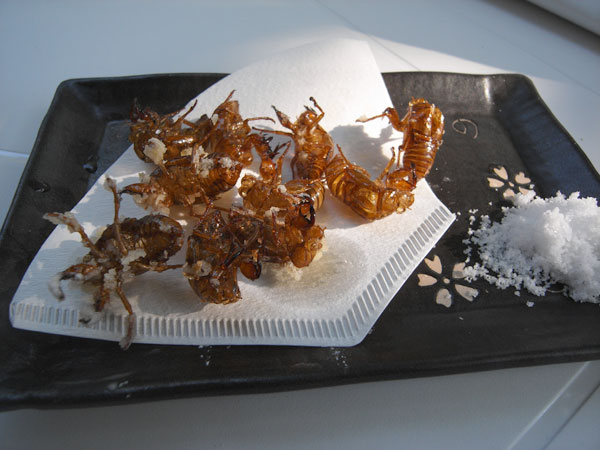 セミの抜け殻料理