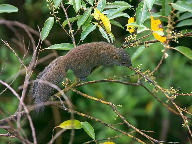 リスの見える部屋