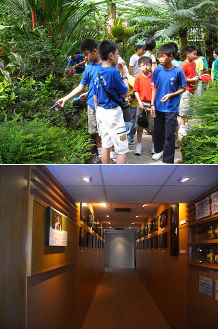 ペナンバタフライファーム