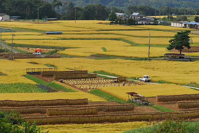 久しぶりの小諸