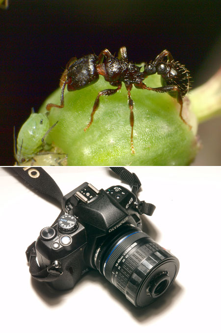 世界最小最軽量マクロシステム