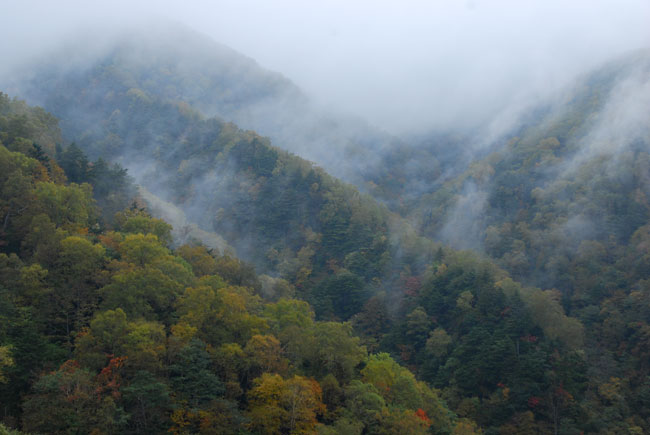 霧の山