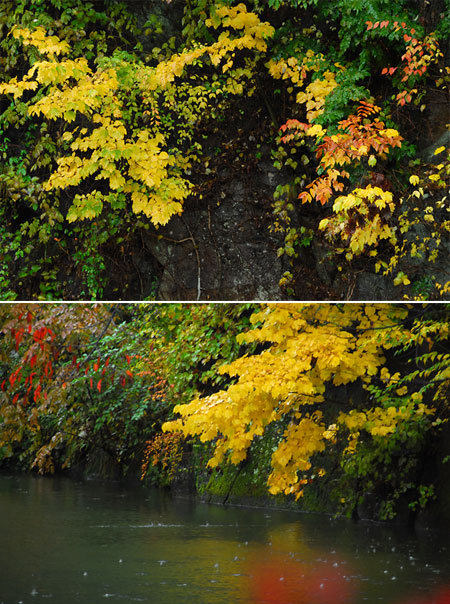 菱野温泉の紅葉