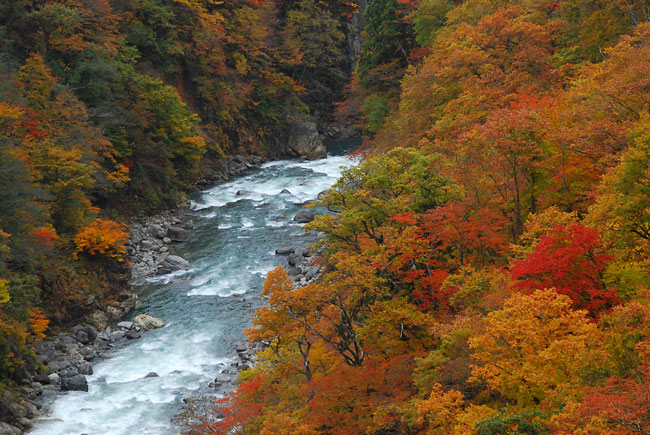 秋山郷の紅葉2
