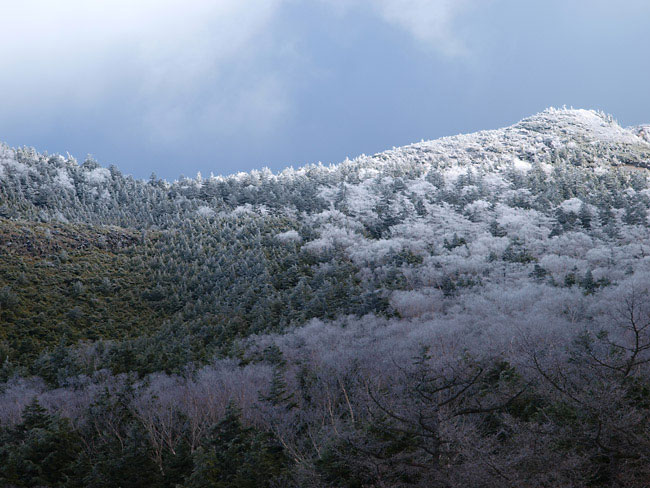 美しいのは一瞬