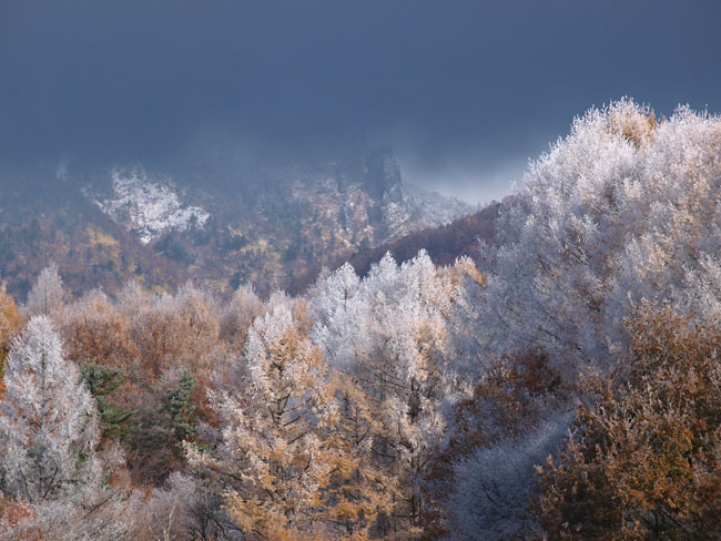 霧氷の向こうに