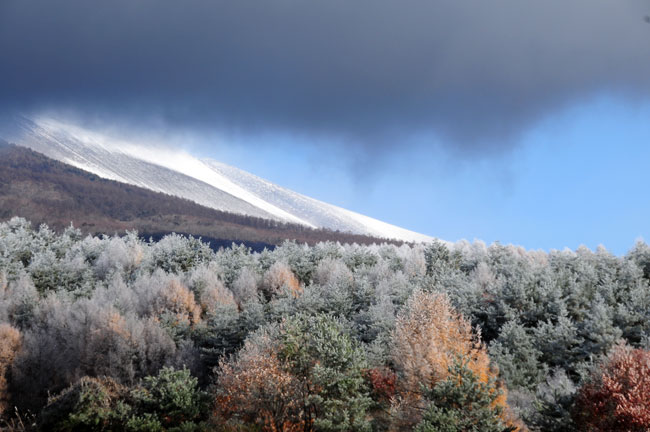 浅間山と霧氷