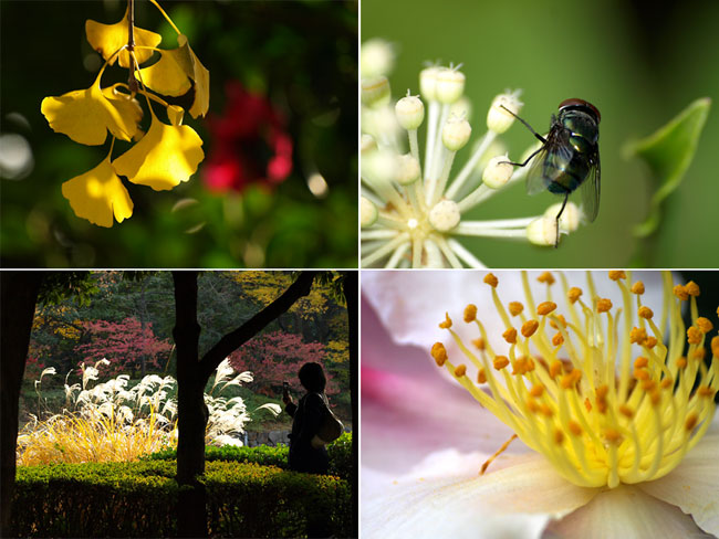 スーパーズーム