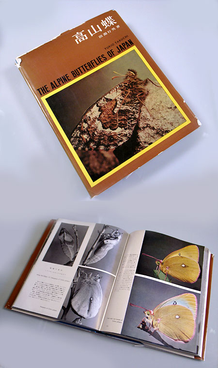 田淵行男「高山蝶」