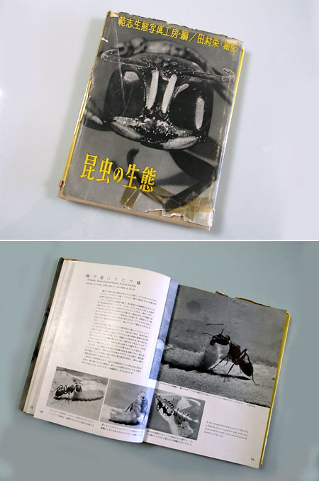田村栄　昆虫の生態