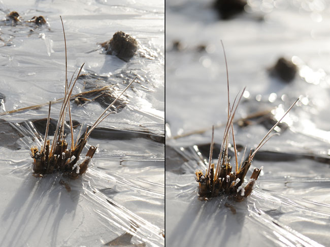 田んぼの氷を絞りを変えて撮る