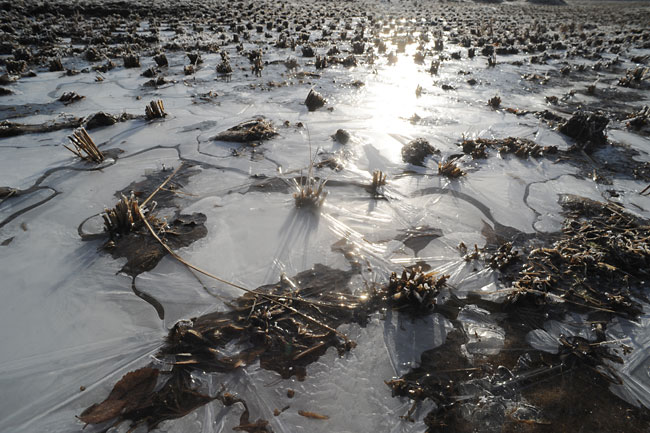 小諸は冬の装い