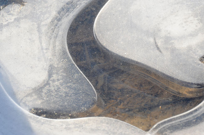 氷（DXニッコールをD3で使う）