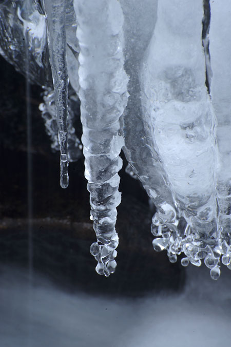 今年一年、小諸日記を見ていただきありがとうございました