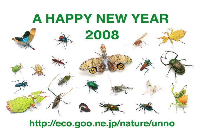 あけましておめでとうございます