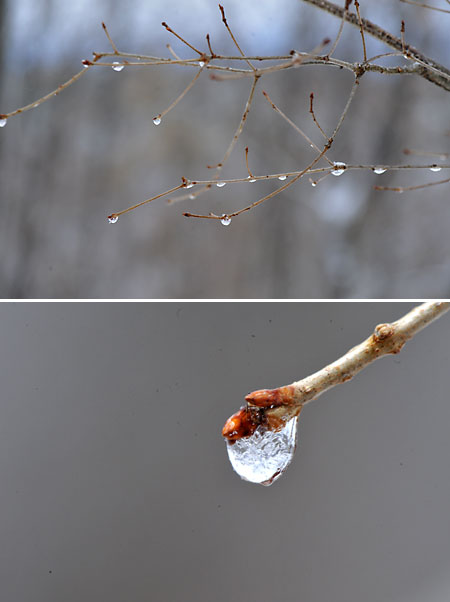 凍った水滴