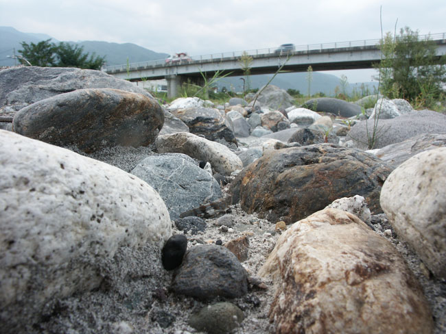 カワラバッタ(2002　Dimage7Hi）