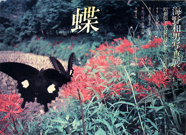 1981年の初の写真展