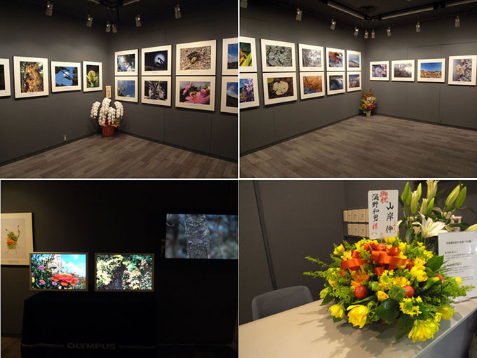 「小諸日記Part4」写真展開催中