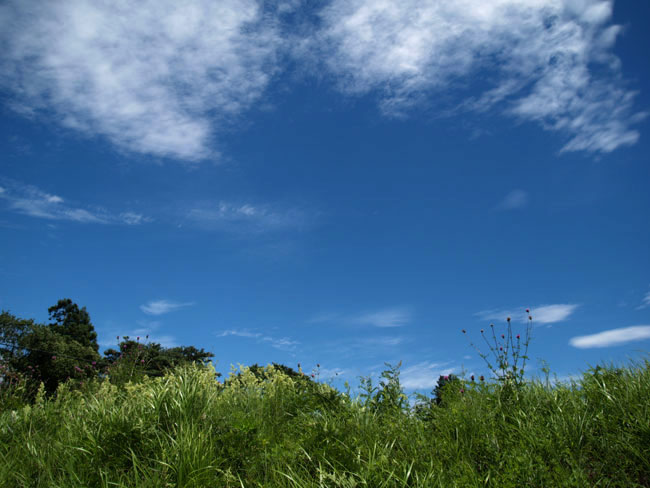 ギャラリートーク