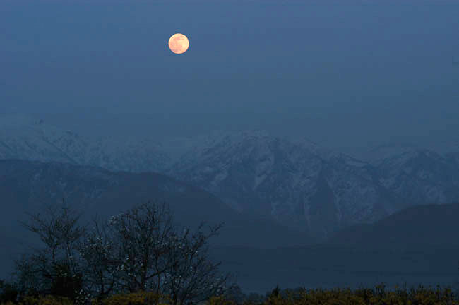 満月（D100　2003）