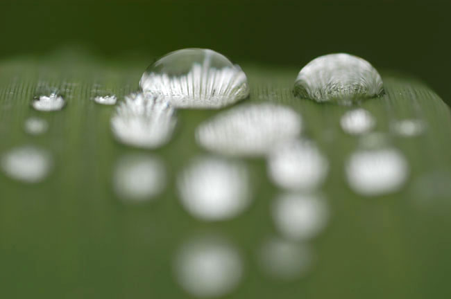 水滴（2003　D100)