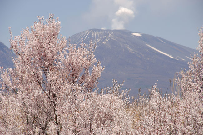 今日からマレーシア