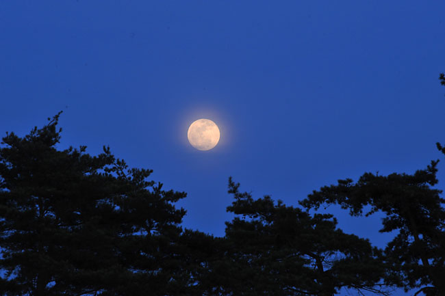 満月