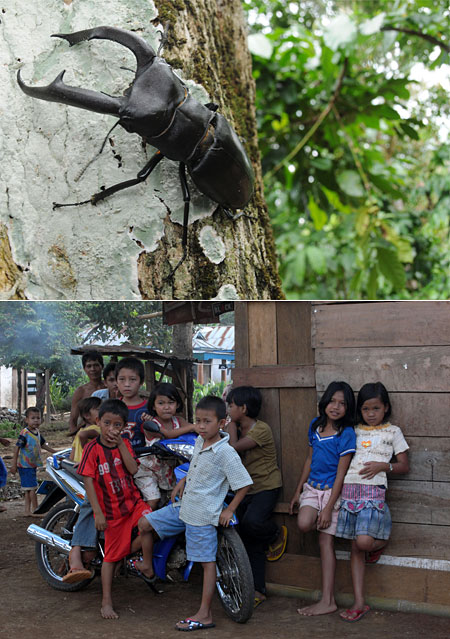 マンディブラリスの村