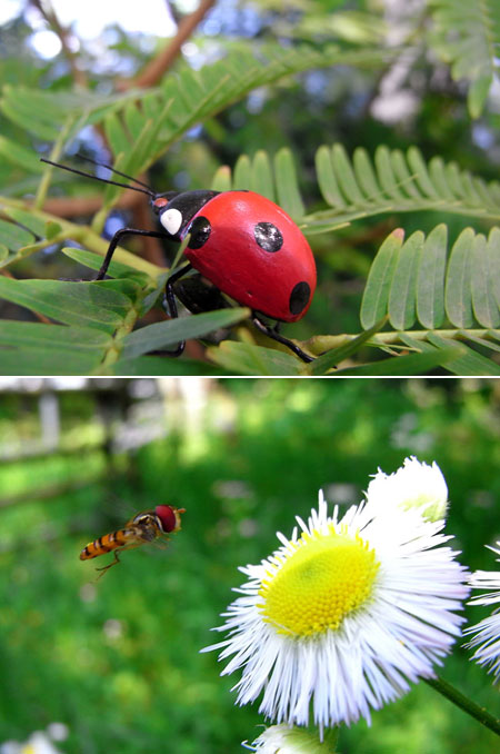 大阪でのecoトーク