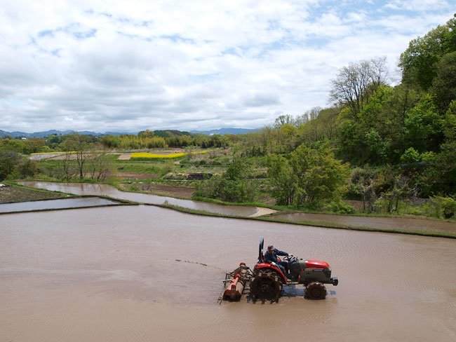 田んぼに水が入る