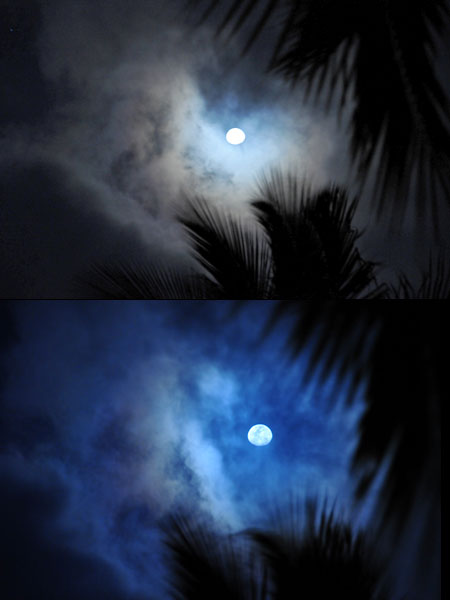 夜空（WBの違い)