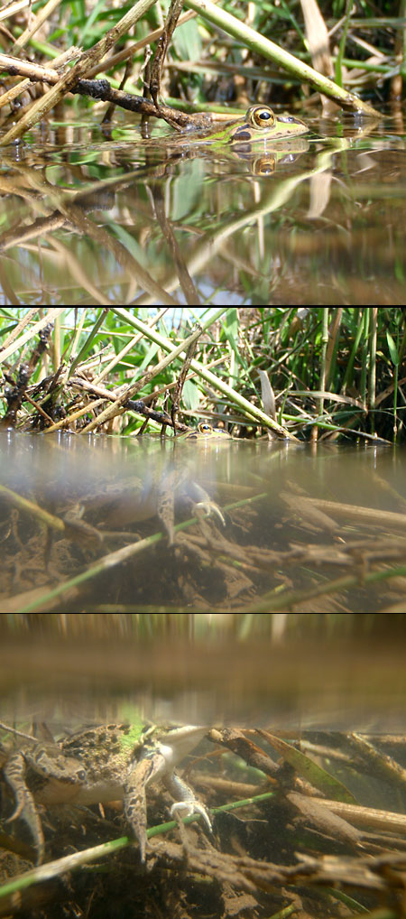 すごいデジカメ1（OLYMPUS　μ1030SW）