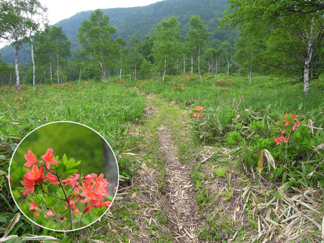 山の上はまだ夏前